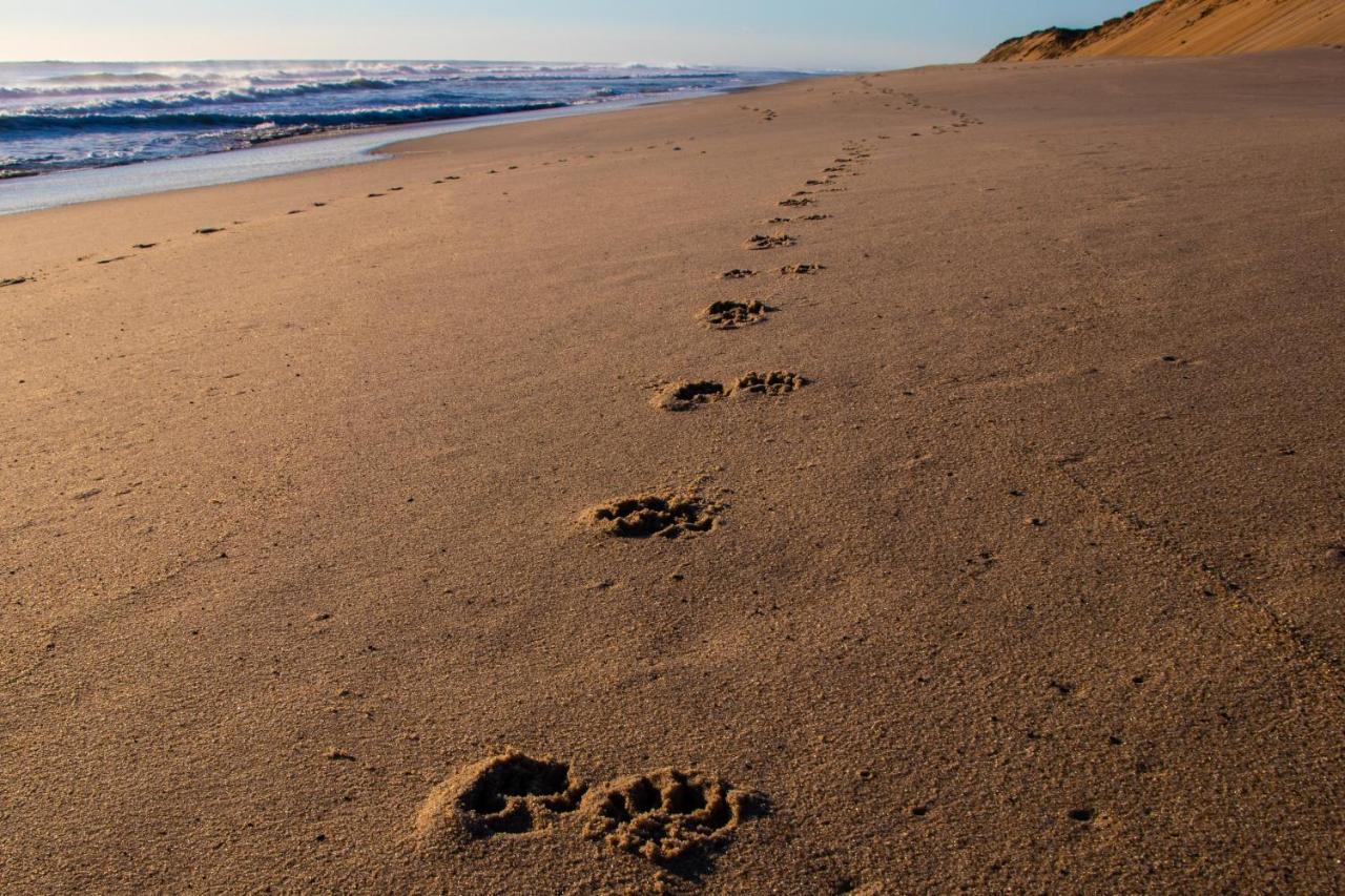 Endless Coast, A Boutique Hotel Wellfleet Exterior foto